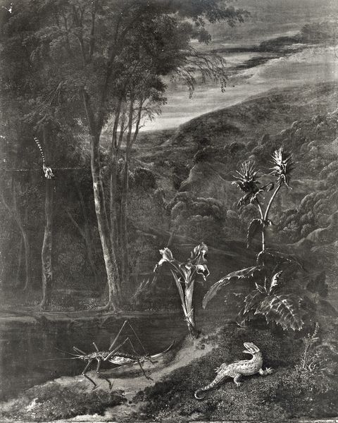 Anonimo — Marseus van Schrieck Otto - sec. XVII - Sottobosco con piante, insetti, ramarro e paesaggio — Insieme